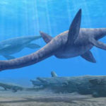 Plesiosaurus Facts | Science Facts