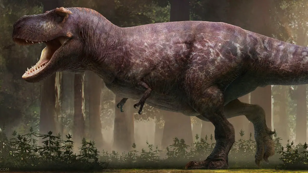 trex dinosaur size