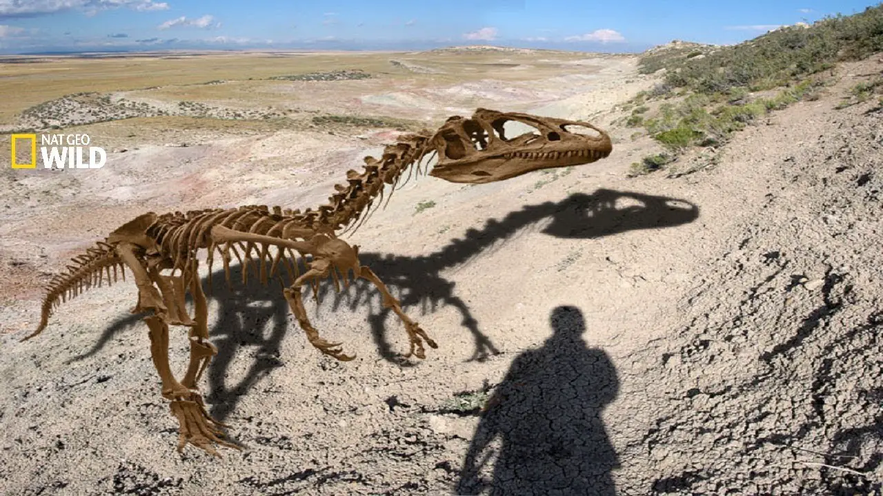 What Is The Correct Meaning Of Paleontology